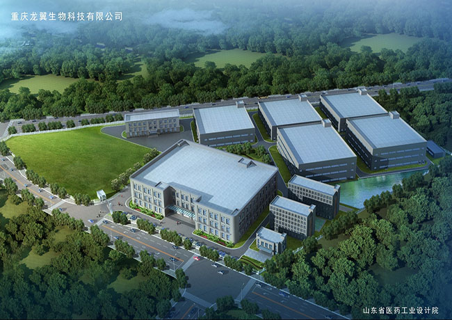 重庆龙翼生物科技有限公司纳米医用器材GMP建设项目
